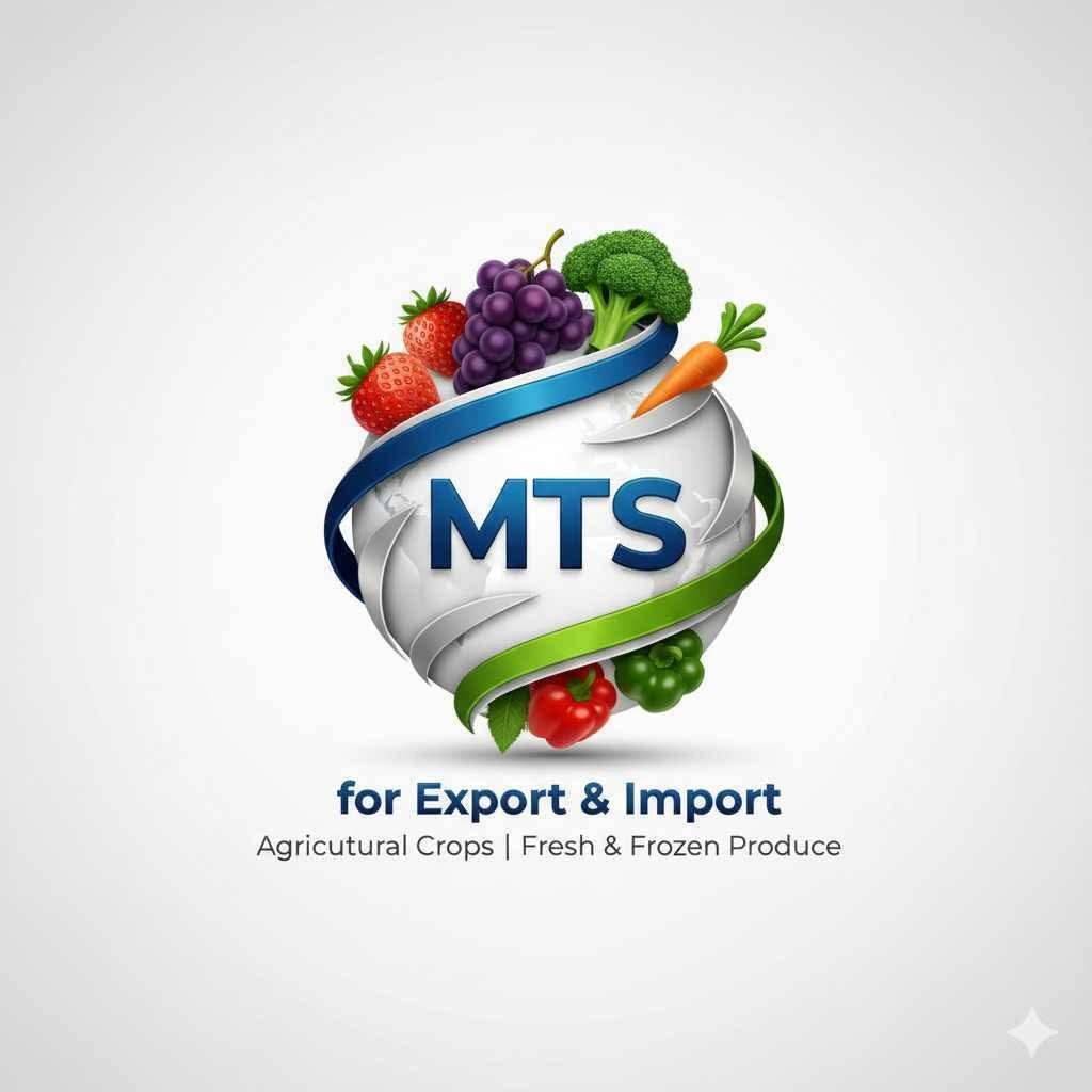 MTS Group